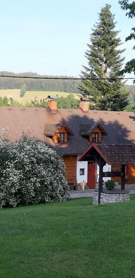 Ubytovani Monika Paseky nad Jizerou Buitenkant foto