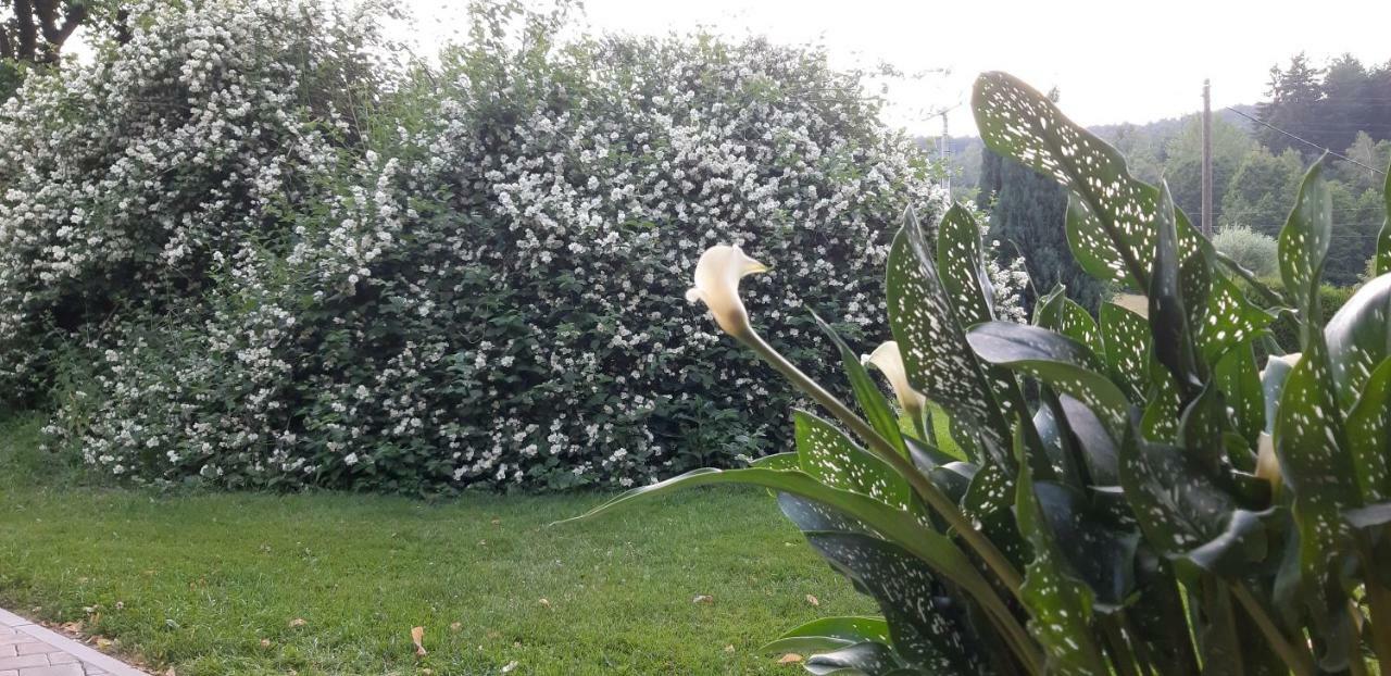 Ubytovani Monika Paseky nad Jizerou Buitenkant foto